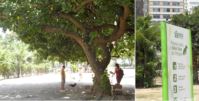 onde passear onde comer com cachorro no Rio restaurante praça pet friendly onde passear onde comer com cachorro no Rio restaurante praça pet friendly