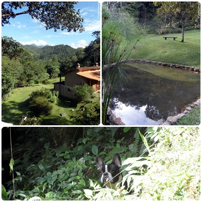 Hotel que aceita cachorro em Visconde de Mauá Pousada Tijupá Hotel que aceita cachorro em Visconde de Mauá Pousada Tijupá