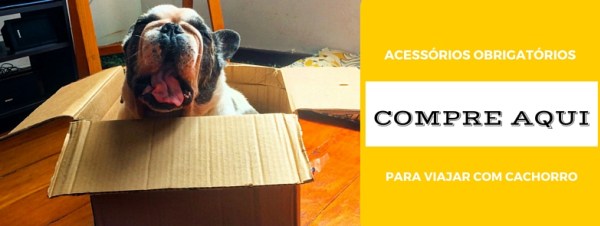 itens obrigatórios para viajar com cachorro de carro itens obrigatórios para viajar com cachorro de carro